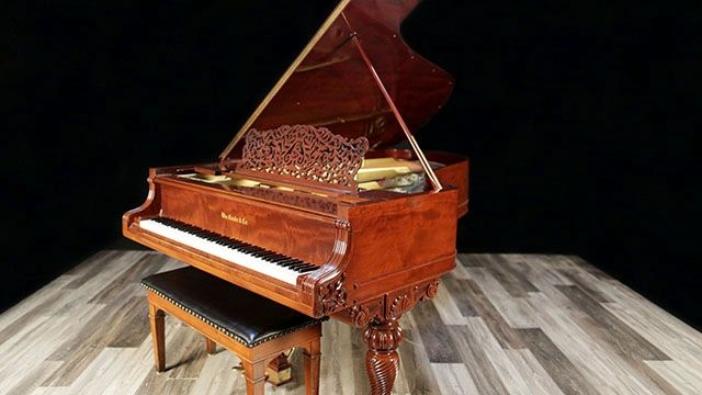 <span>1895</span> Knabe