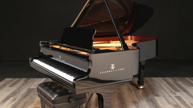 <span>1966</span> Steinway B